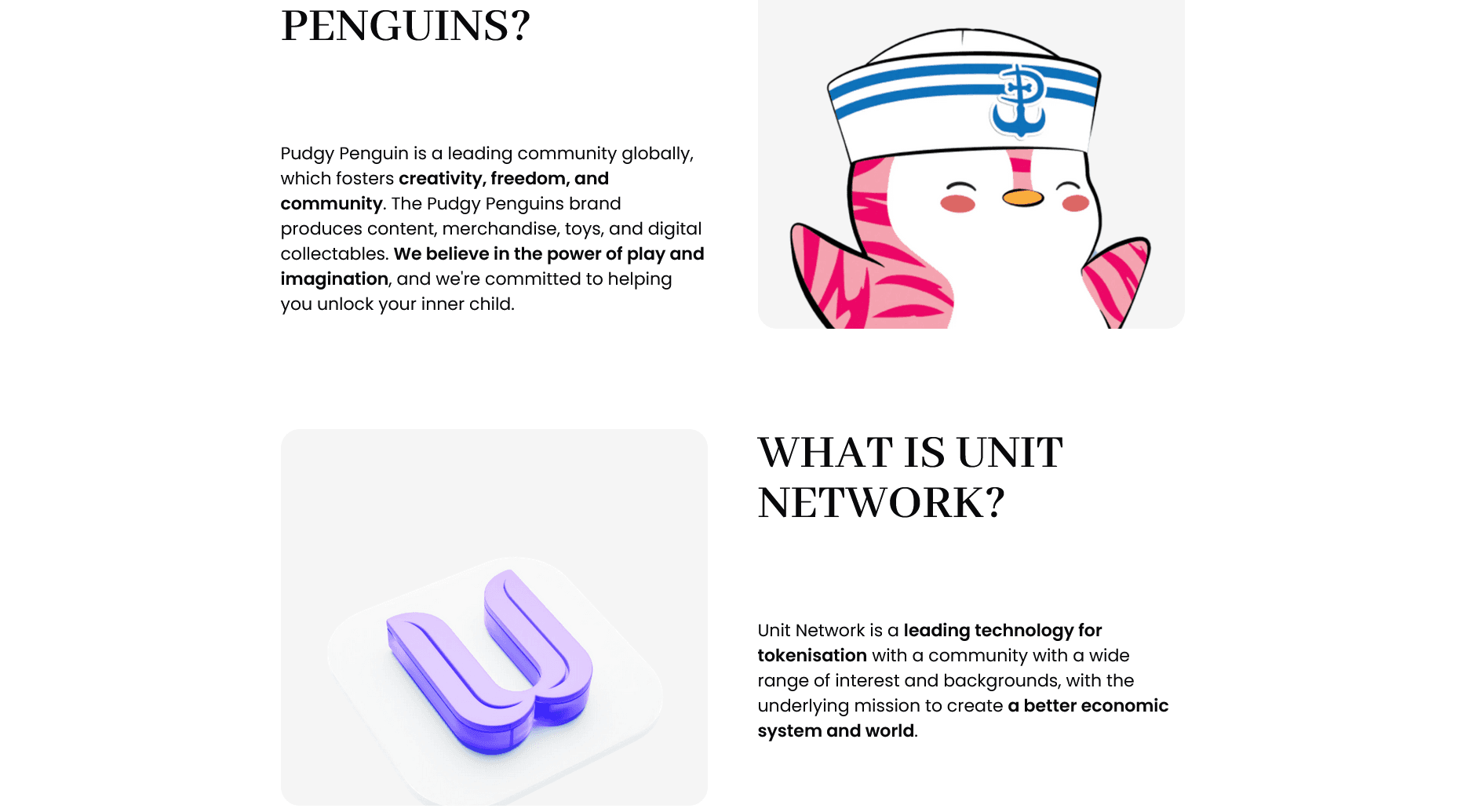 UnitPudgy Antarctica - Unit Network gallery image 1
